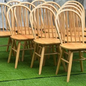 455011994 796019612743438 1774637570154197898 N