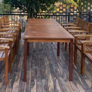 428701474 1173231950797710 1647293414993937991 N