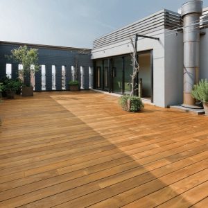 428706002 1172761410844764 2246824910364182430 N