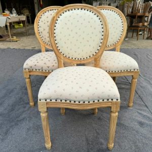 429552581 1173232327464339 8340777449755074267 N