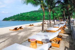 431416064 924976249415624 4974396128058155500 N