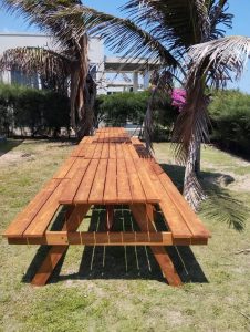 435297977 1197449718375933 1464685991079723636 N