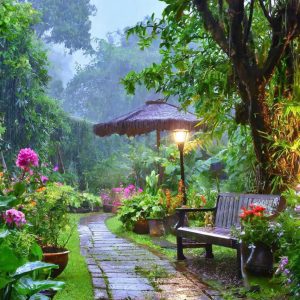 Z6452554227277 85e1b7423bbc38ebb0b82162d7b80c16