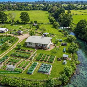 Z6452554233943 Be807fd8b5036be58b4981b93269433f