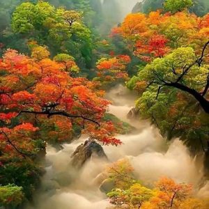 Z6452554276630 A849c47ce815770a46718f73492273f9