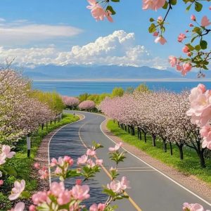 Z6452554278240 D74ed0e81b31a0aa8a01db0fb35e7a8b