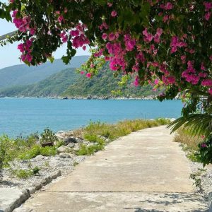 Z6452554283947 B45c89d764f0b42ea8954dca52a88217