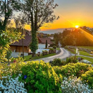 Z6452554289128 9483c550c8b75f46112548cc9eec6eb2